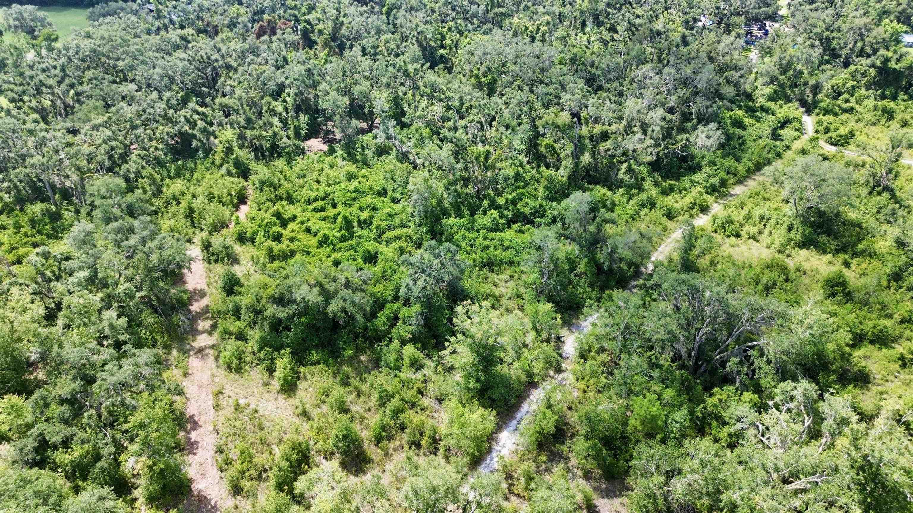 0 Shady Oaks Lane Perry, FL 32348 - Photo 6 of 27