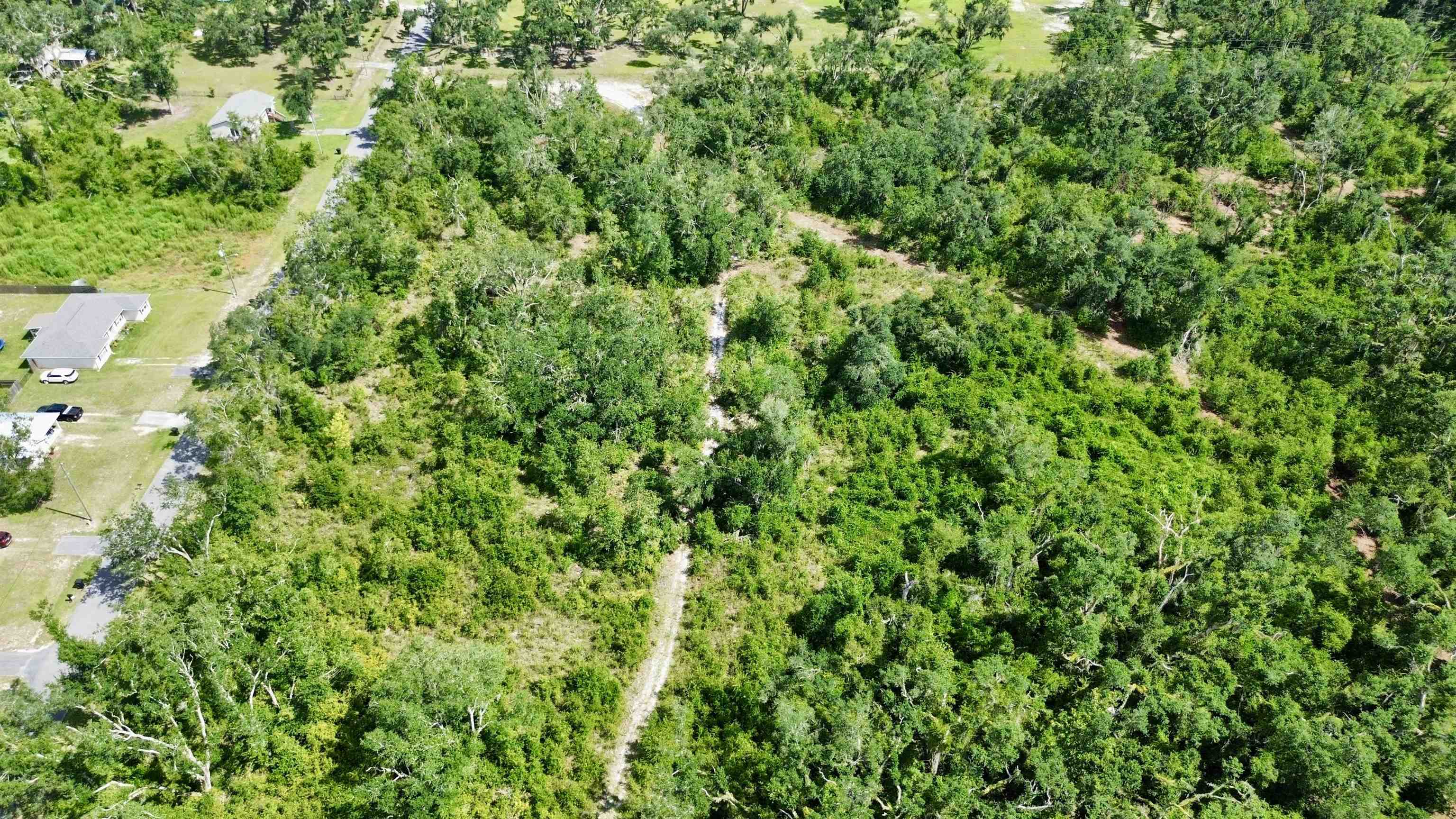 0 Shady Oaks Lane Perry, FL 32348 - Photo 10 of 27