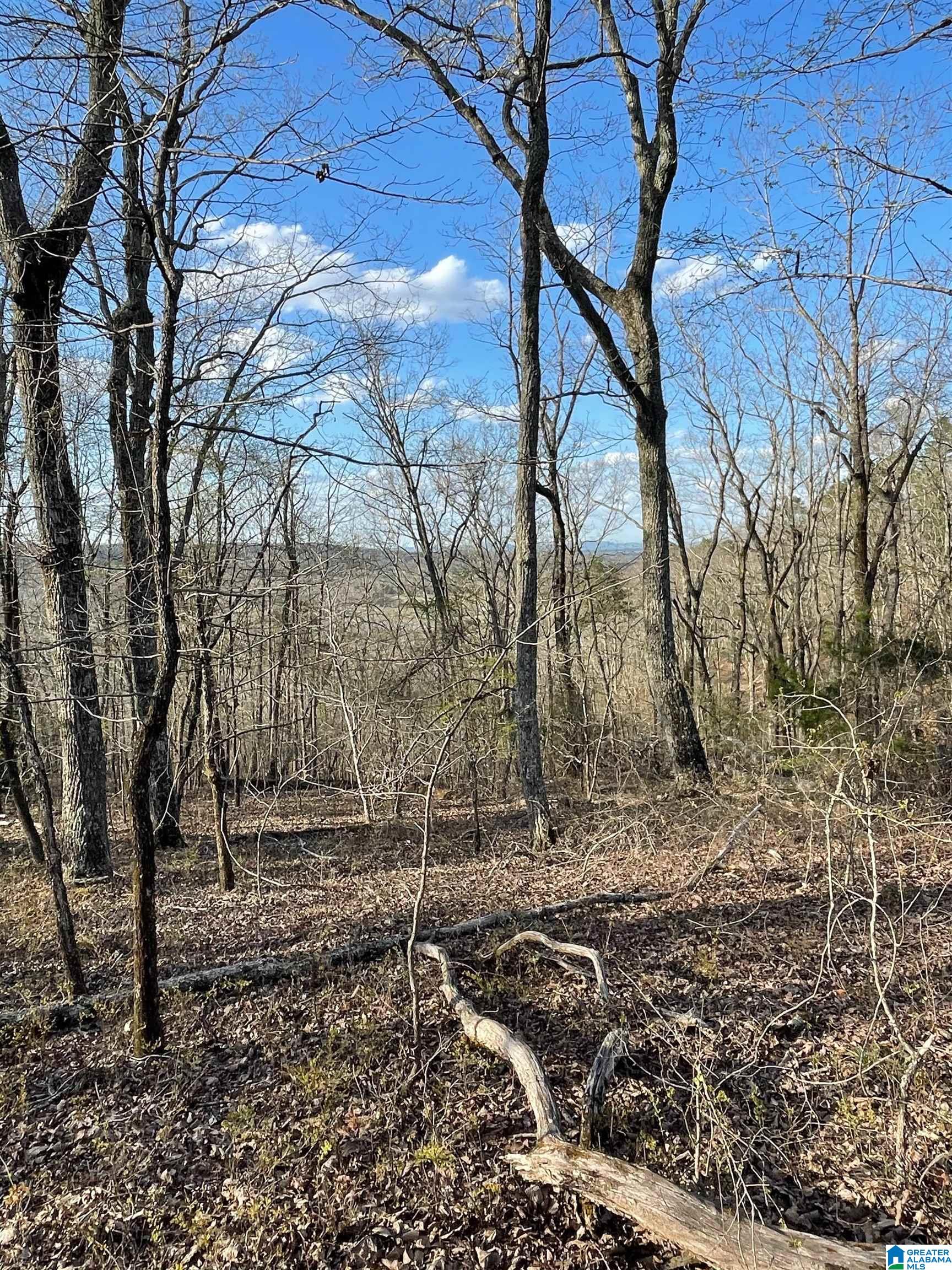 Lot 1 Statum Farm Road, Unit 1 Columbiana, AL 35051 - Photo 11 of 12