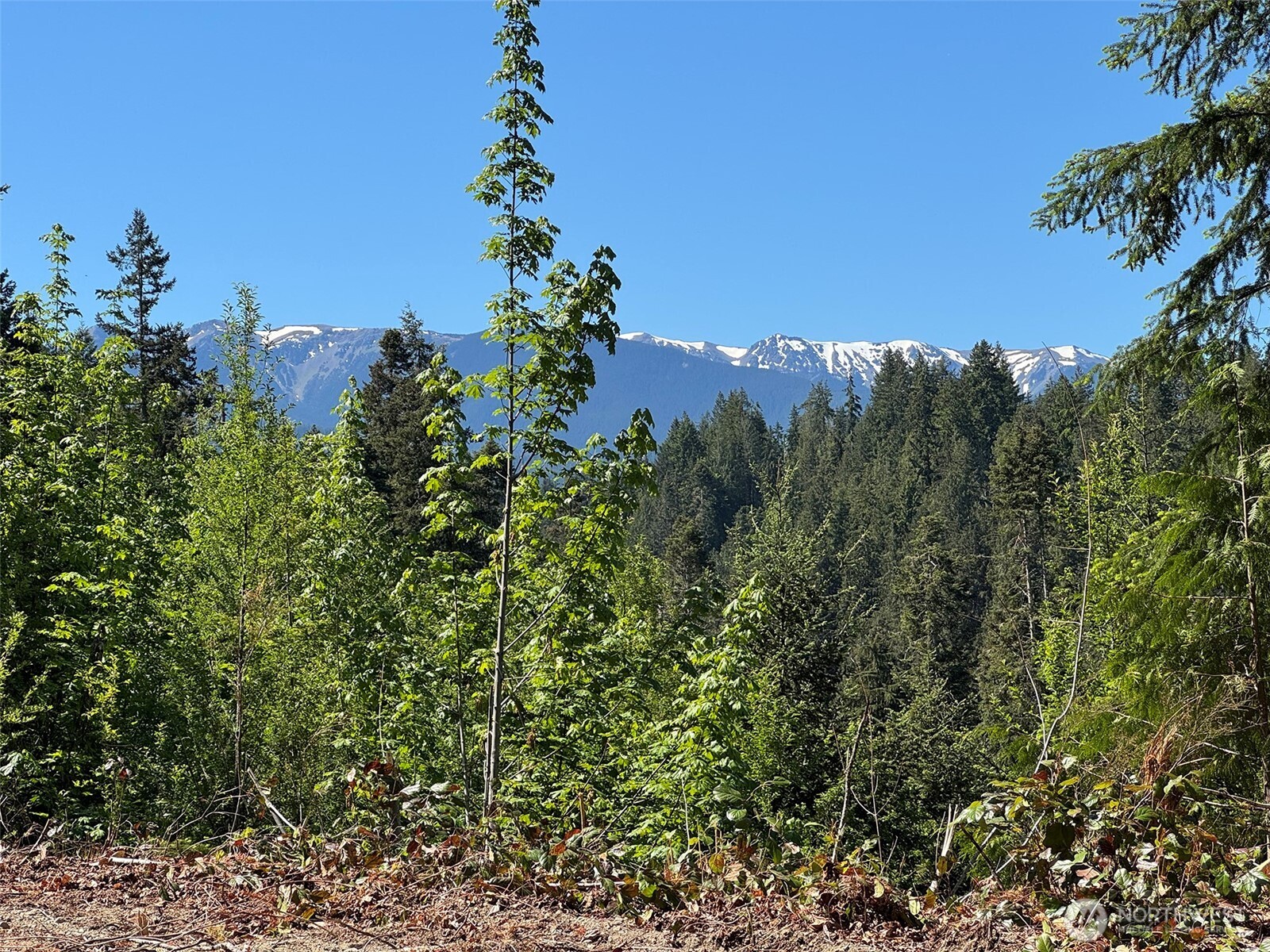 9999 Blue Mountain Road Port Angeles, WA 98362 - Photo 18 of 38 Gallery Image 18