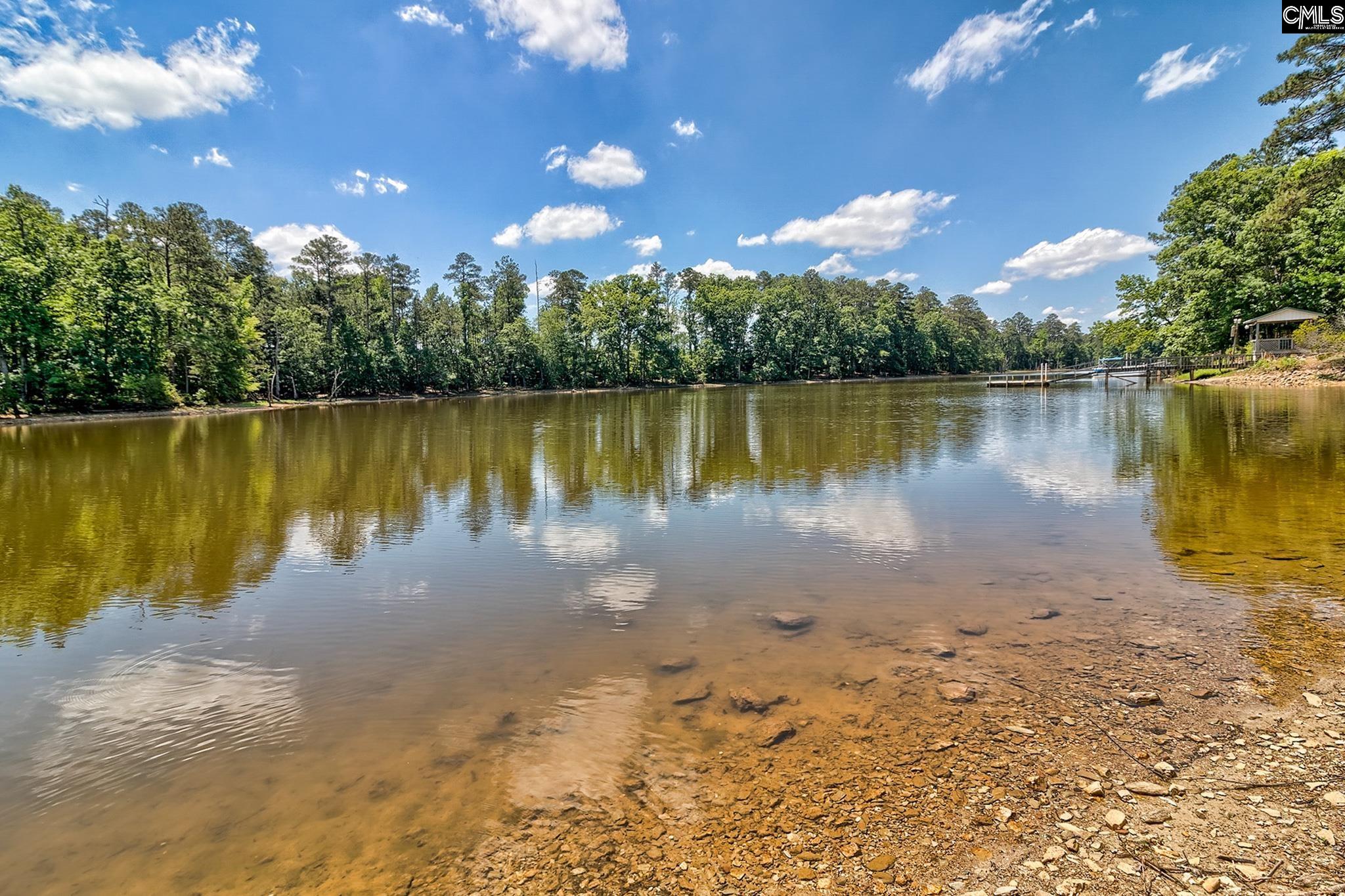 463 Ridge Road Leesville, SC 29070 - Photo 14 of 69