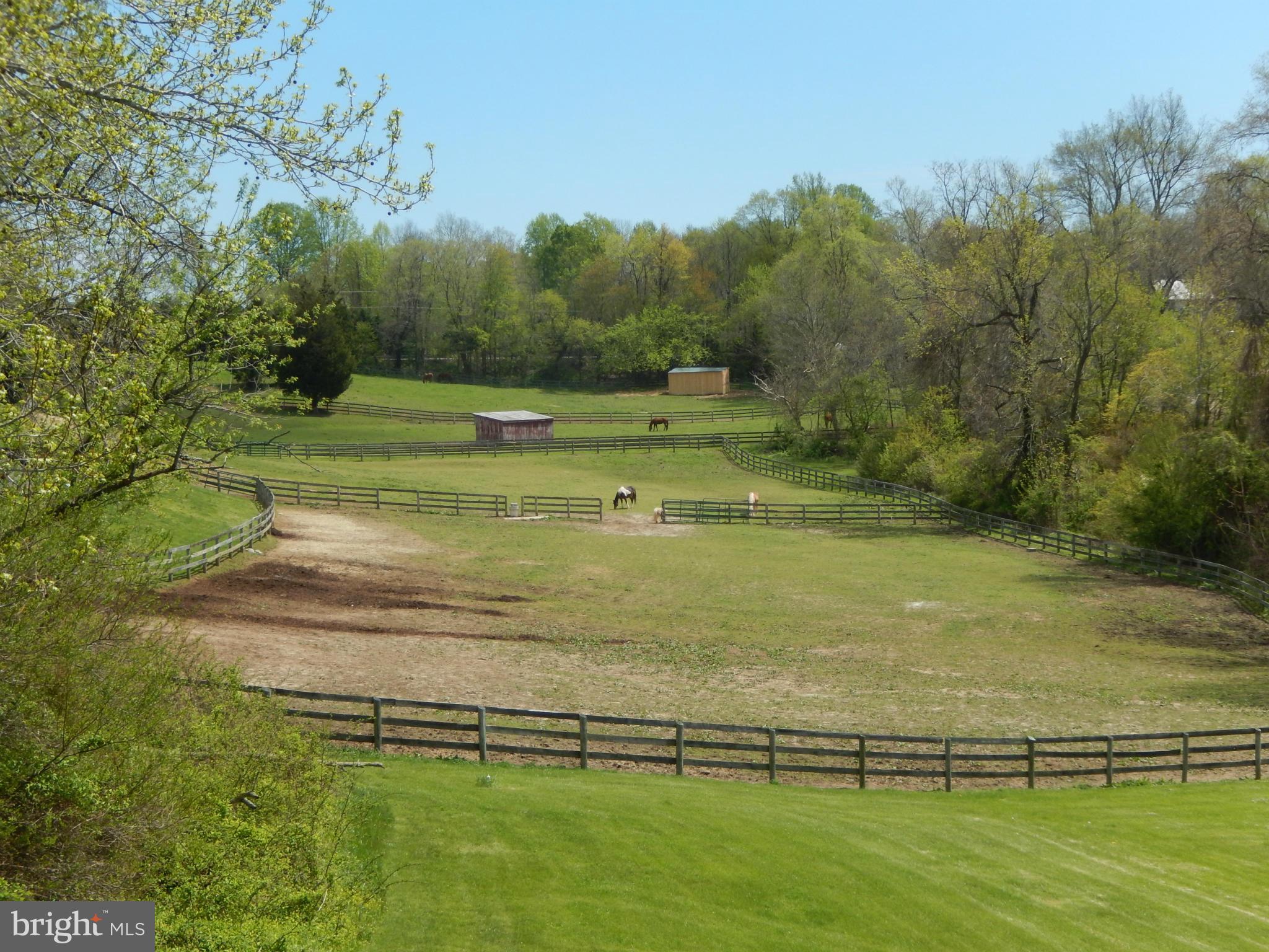 3503 Cedars Stable Road Davidsonville, MD 21035 - Photo 20 of 22 Exterior (General)