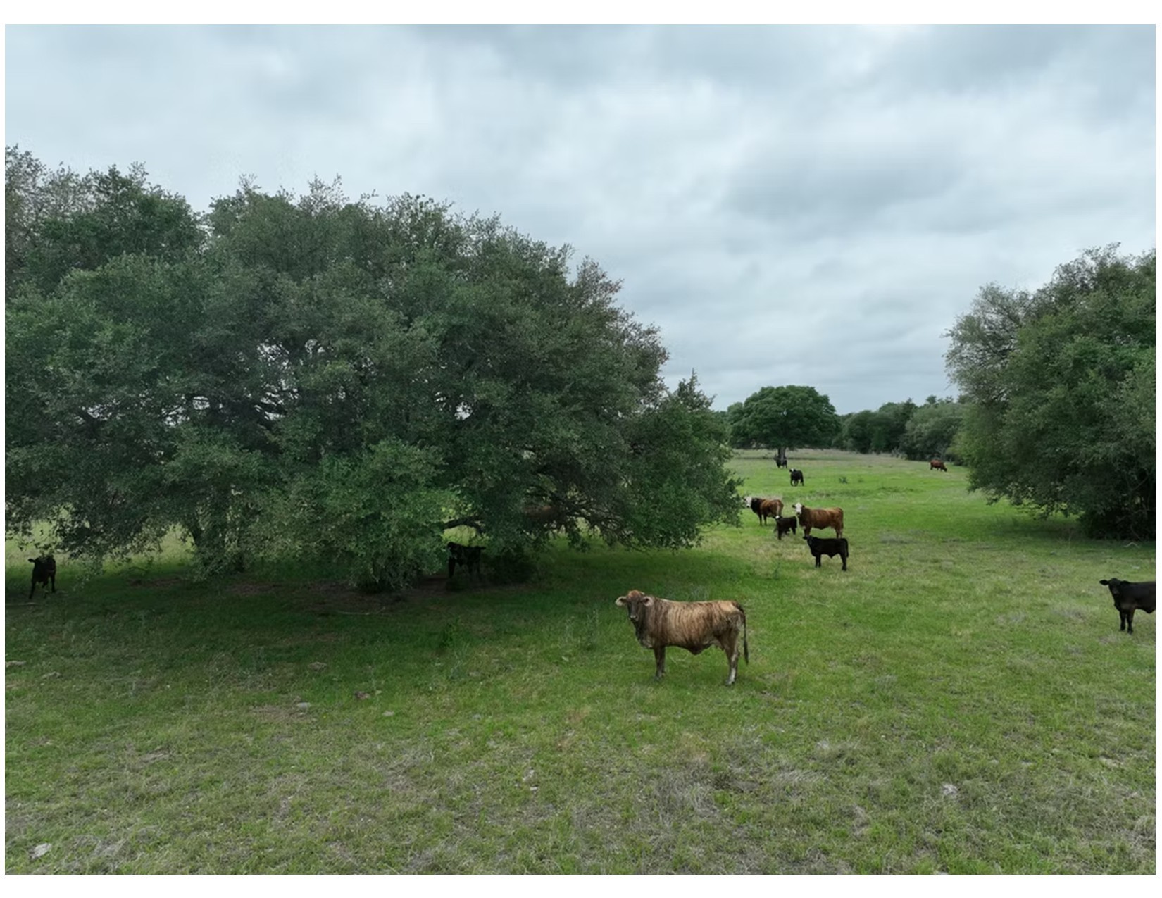 Lot 4-tbd County Road 127 Road Ledbetter, TX 78946 - Photo 1 of 8