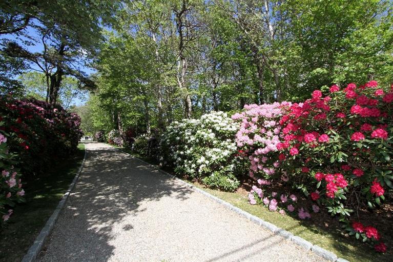 567 Scraggy Neck Road Cataumet, MA 02534 - Photo 4 of 35 Additional Photo