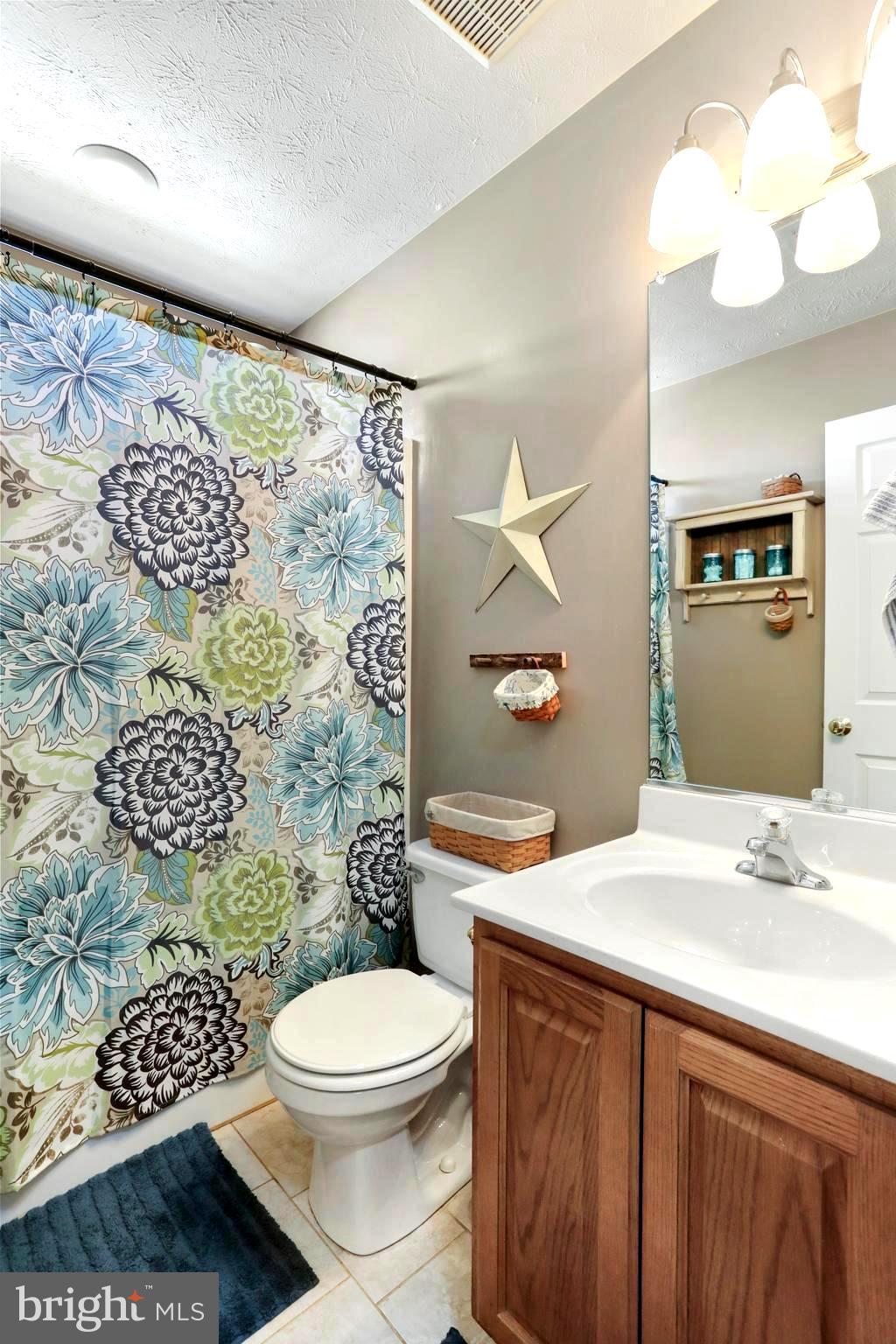 1147 Happy Ridge Drive Front Royal, VA 22630 - Photo 30 of 42 a bathroom with a sink toilet and shower