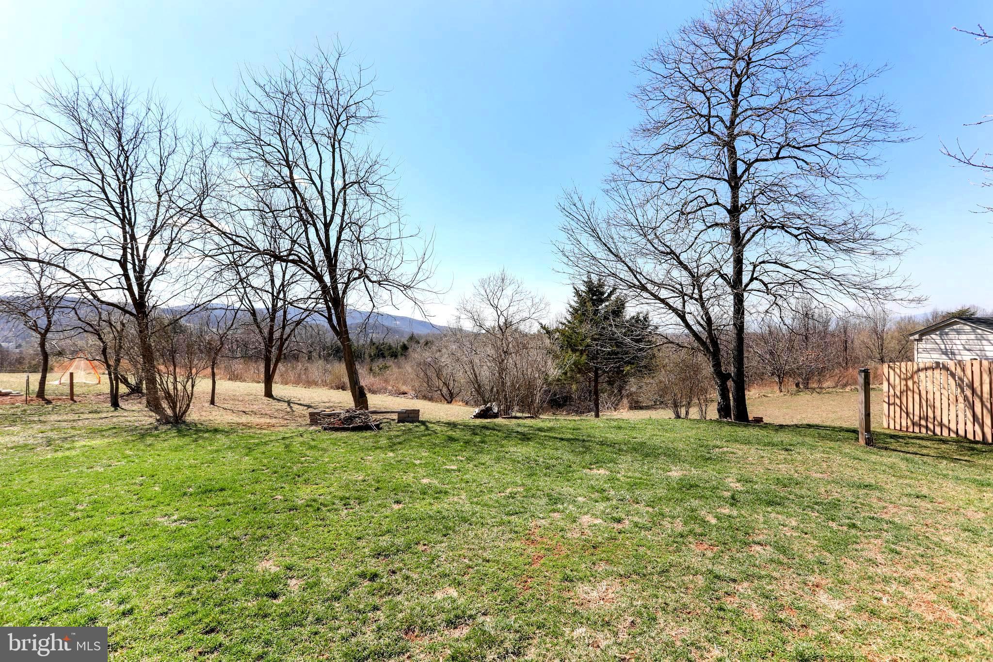 1147 Happy Ridge Drive Front Royal, VA 22630 - Photo 34 of 42 a big yard with some trees