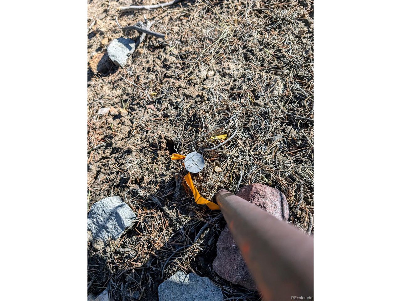 677 Alice Road Idaho Springs, CO 80452 - Photo 17 of 17