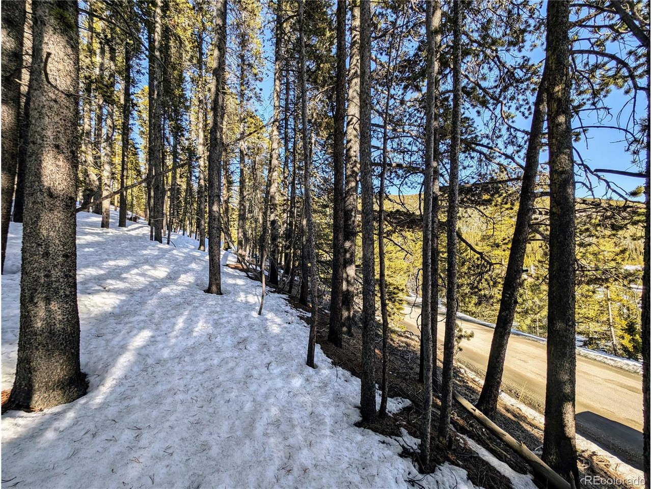 677 Alice Road Idaho Springs, CO 80452 - Photo 7 of 17 a view of outdoor space and trees