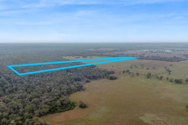 a view of beach and ocean