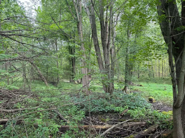 $9,900 | Pawnee Trail, Evart, MI 49631