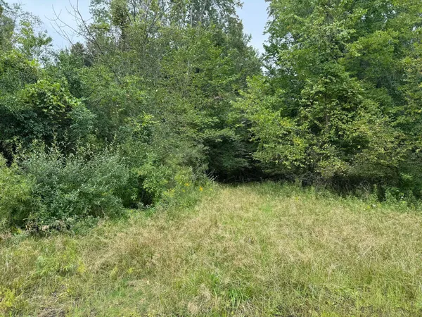 $5,000 | Pawnee Trail, Evart, MI 49631