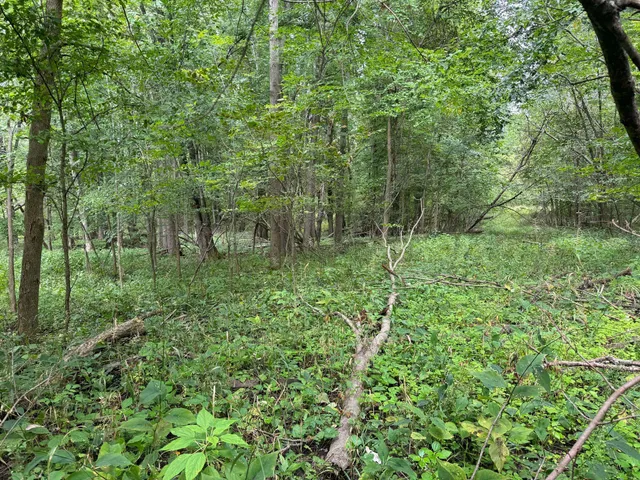 $9,900 | Pawnee Trail, Evart, MI 49631