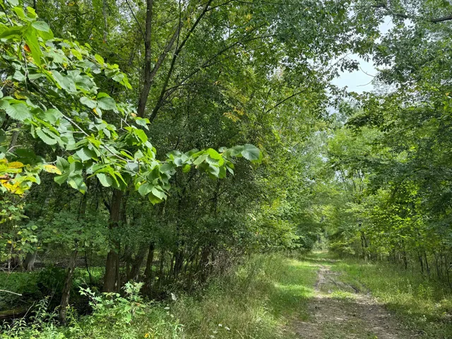 $9,900 | Pawnee Trail, Evart, MI 49631