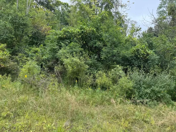 $5,000 | Pawnee Trail, Evart, MI 49631