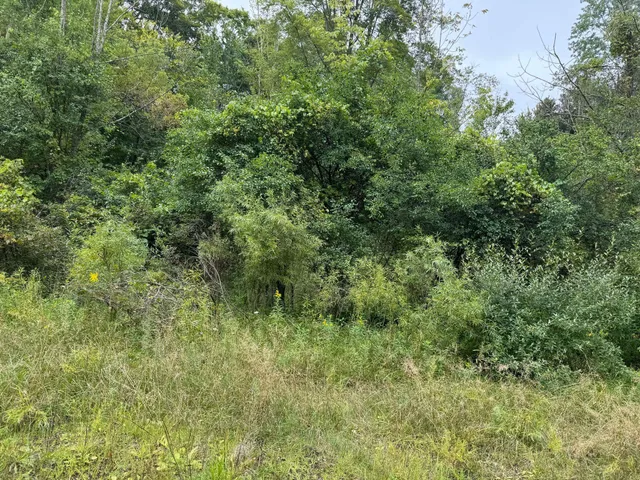 $9,900 | Pawnee Trail, Evart, MI 49631