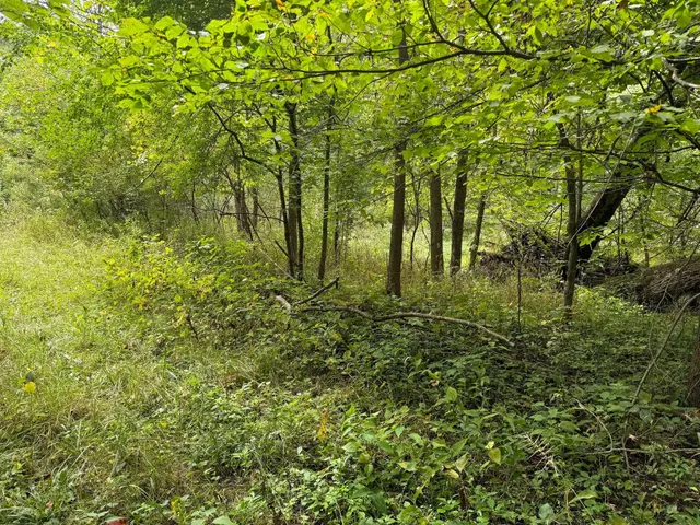 $9,900 | Pawnee Trail, Evart, MI 49631