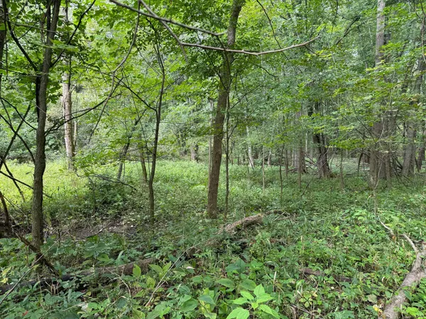 $5,000 | Pawnee Trail, Evart, MI 49631