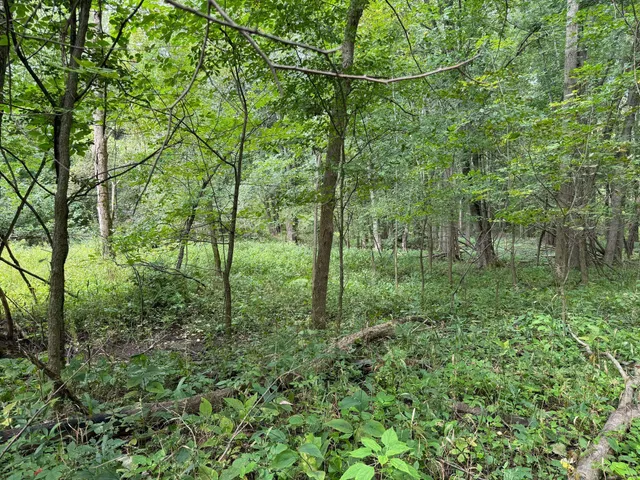 $9,900 | Pawnee Trail, Evart, MI 49631