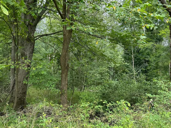 $5,000 | Pawnee Trail, Evart, MI 49631