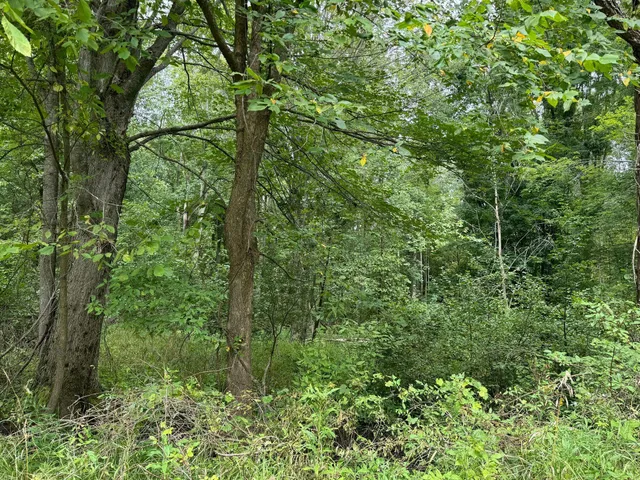 $9,900 | Pawnee Trail, Evart, MI 49631