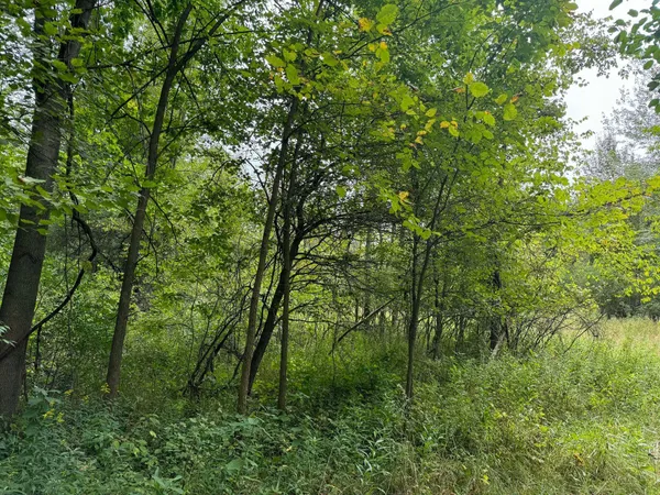 $5,000 | Pawnee Trail, Evart, MI 49631