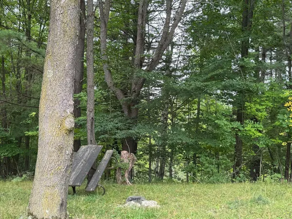 $5,000 | Pawnee Trail, Evart, MI 49631