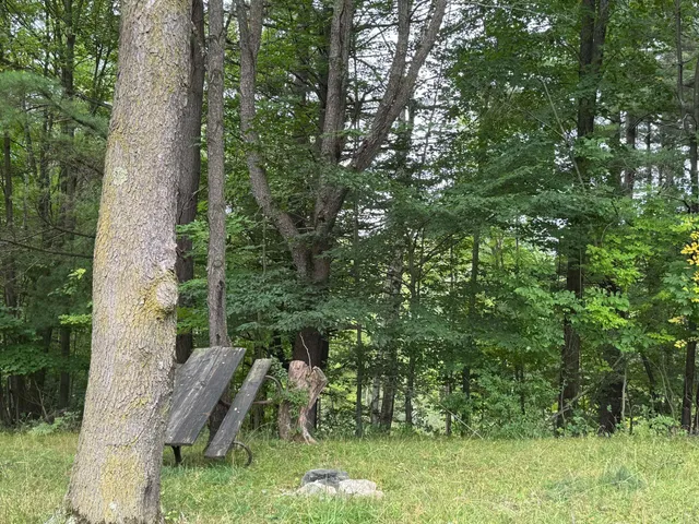 $9,900 | Pawnee Trail, Evart, MI 49631