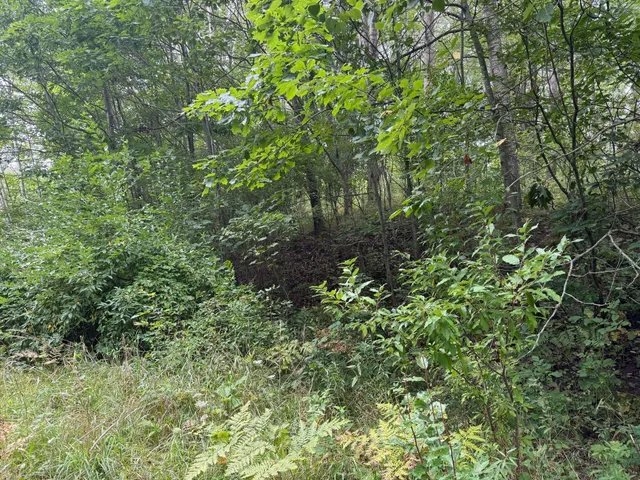 $9,900 | Pawnee Trail, Evart, MI 49631