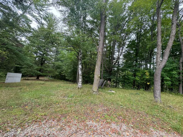 $9,900 | Pawnee Trail, Evart, MI 49631