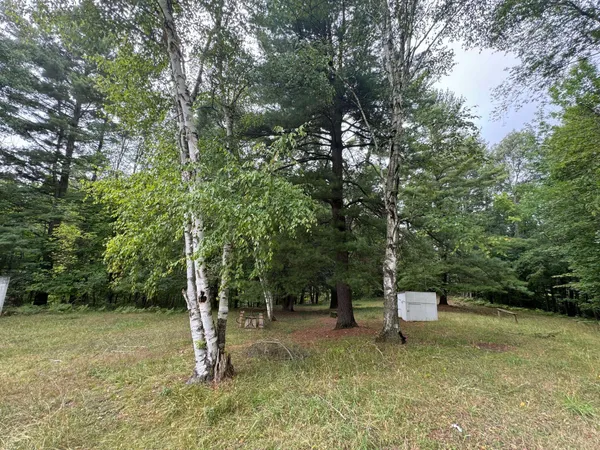 $5,000 | Pawnee Trail, Evart, MI 49631