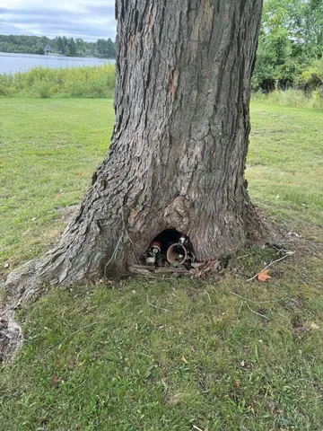 $9,900 | Pawnee Trail, Evart, MI 49631