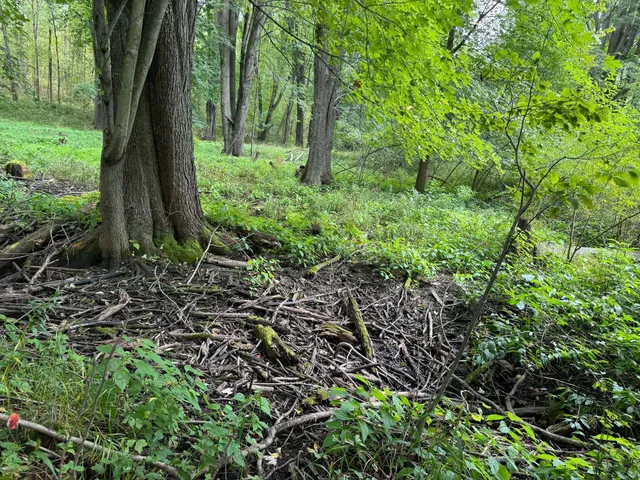 $9,900 | Pawnee Trail, Evart, MI 49631