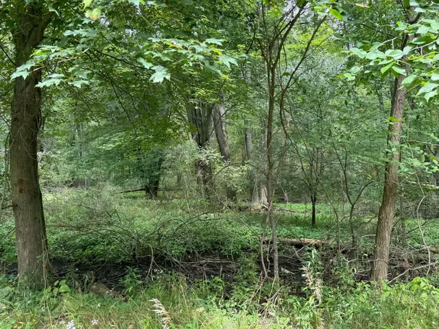 $9,900 | Pawnee Trail, Evart, MI 49631