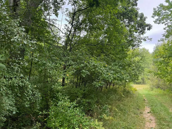 $5,000 | Pawnee Trail, Evart, MI 49631