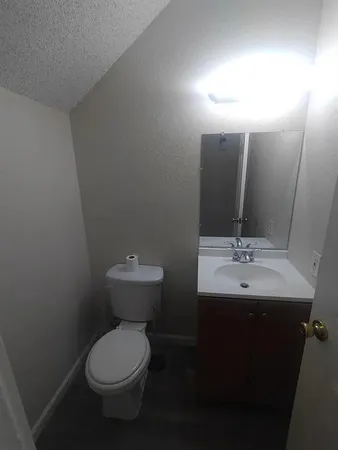 a bathroom with a toilet a sink and mirror