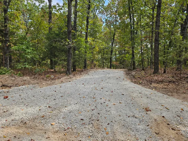 $95,000 | 0 Co Road, Unit TRACT 2, Hardenville, MO 65666