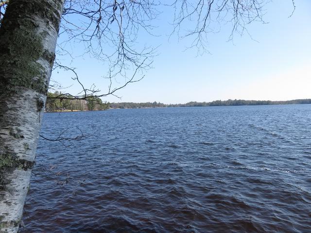 7722 Braeger Road Three Lakes, WI 54562 - Photo 19 of 20 Gallery Image 19