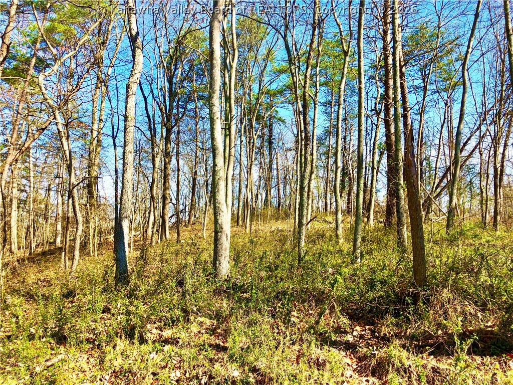 328 Kens Lake Estates Road Winfield, WV 25213 - Photo 13 of 14 Gallery Image 13