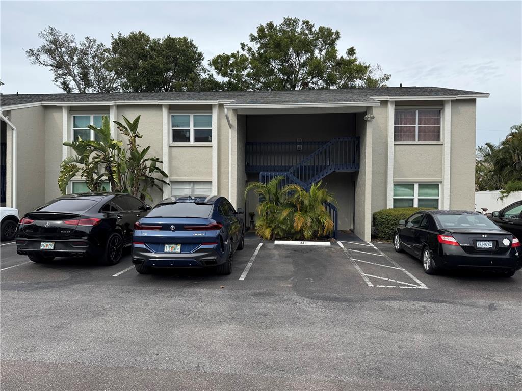 304 South Habana Avenue, Unit A6 Tampa, FL 33609 - Photo 3 of 15