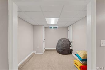 4419 Butler Hill Road St. Louis, MO 63128 - Photo 20 of 32 Gallery Image 20