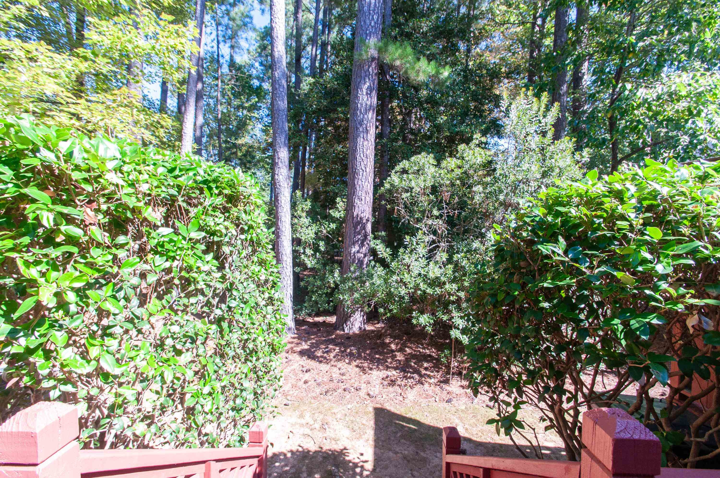 7914 Footman Way Raleigh, NC 27615 - Photo 27 of 38 a view of forest