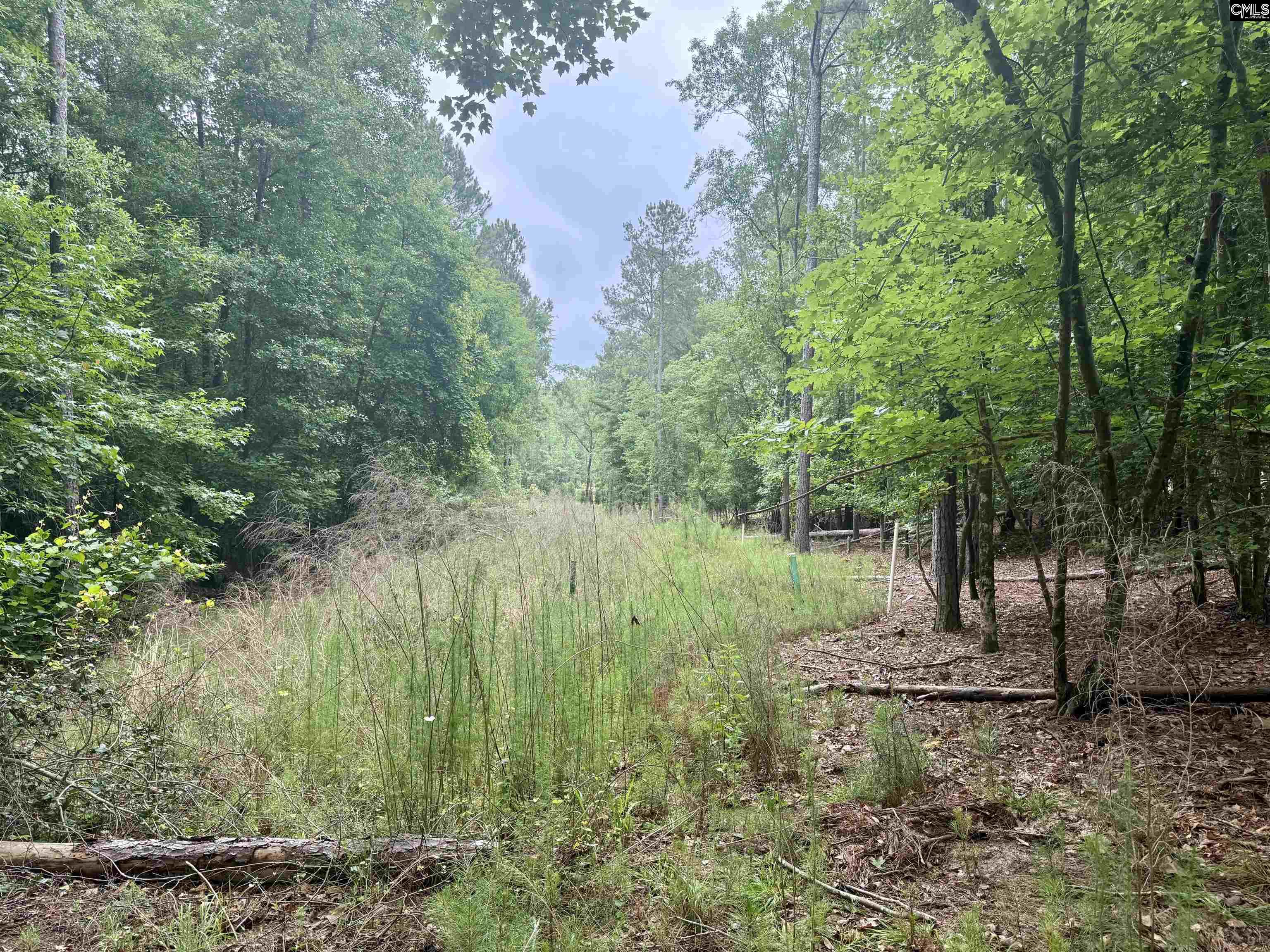 84 Timber Trl Lane Prosperity, SC 29127 - Photo 5 of 18
