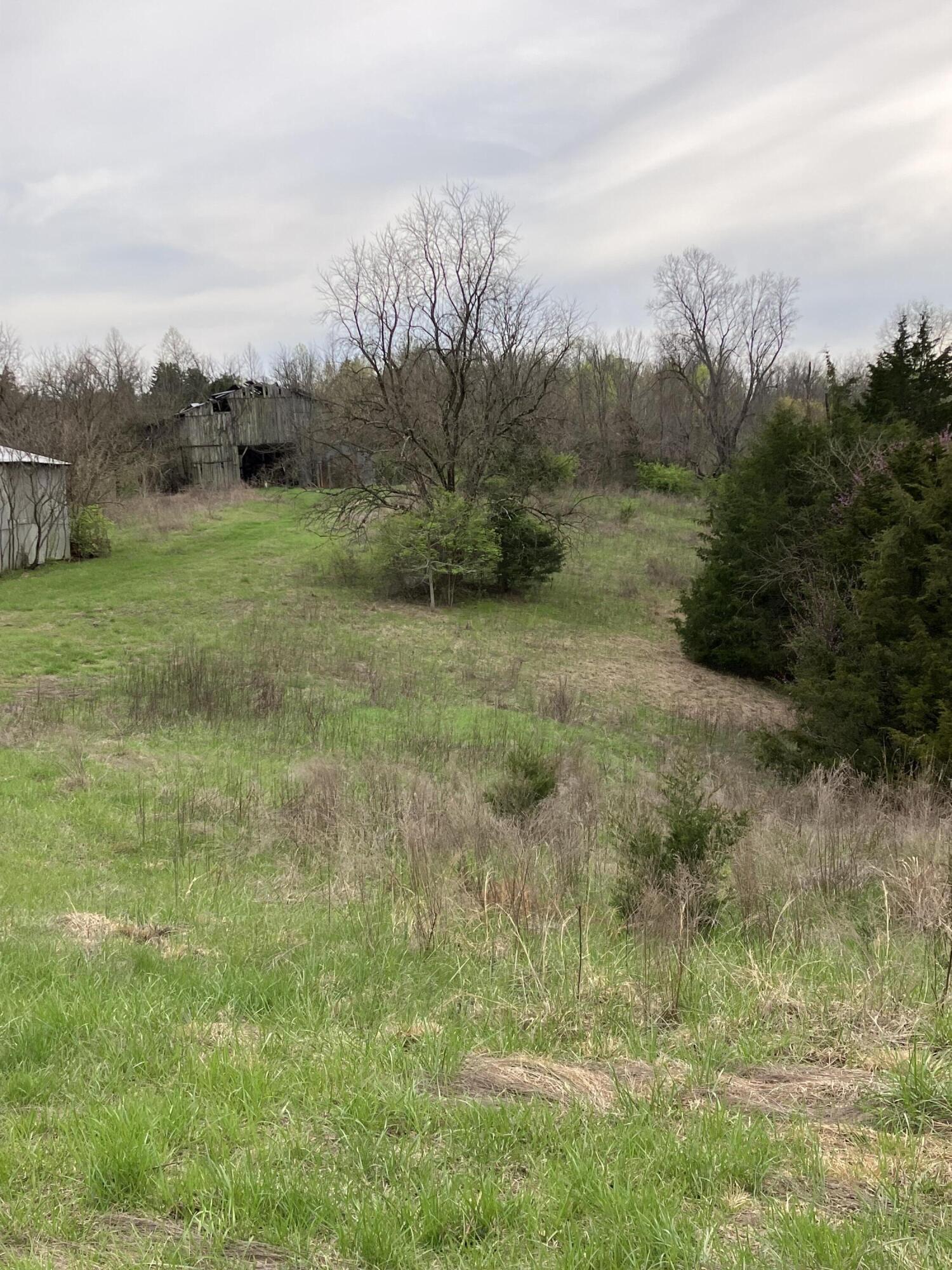 3626 White Oak Road Owingsville, KY 40360 - Photo 11 of 34 IMG_4756