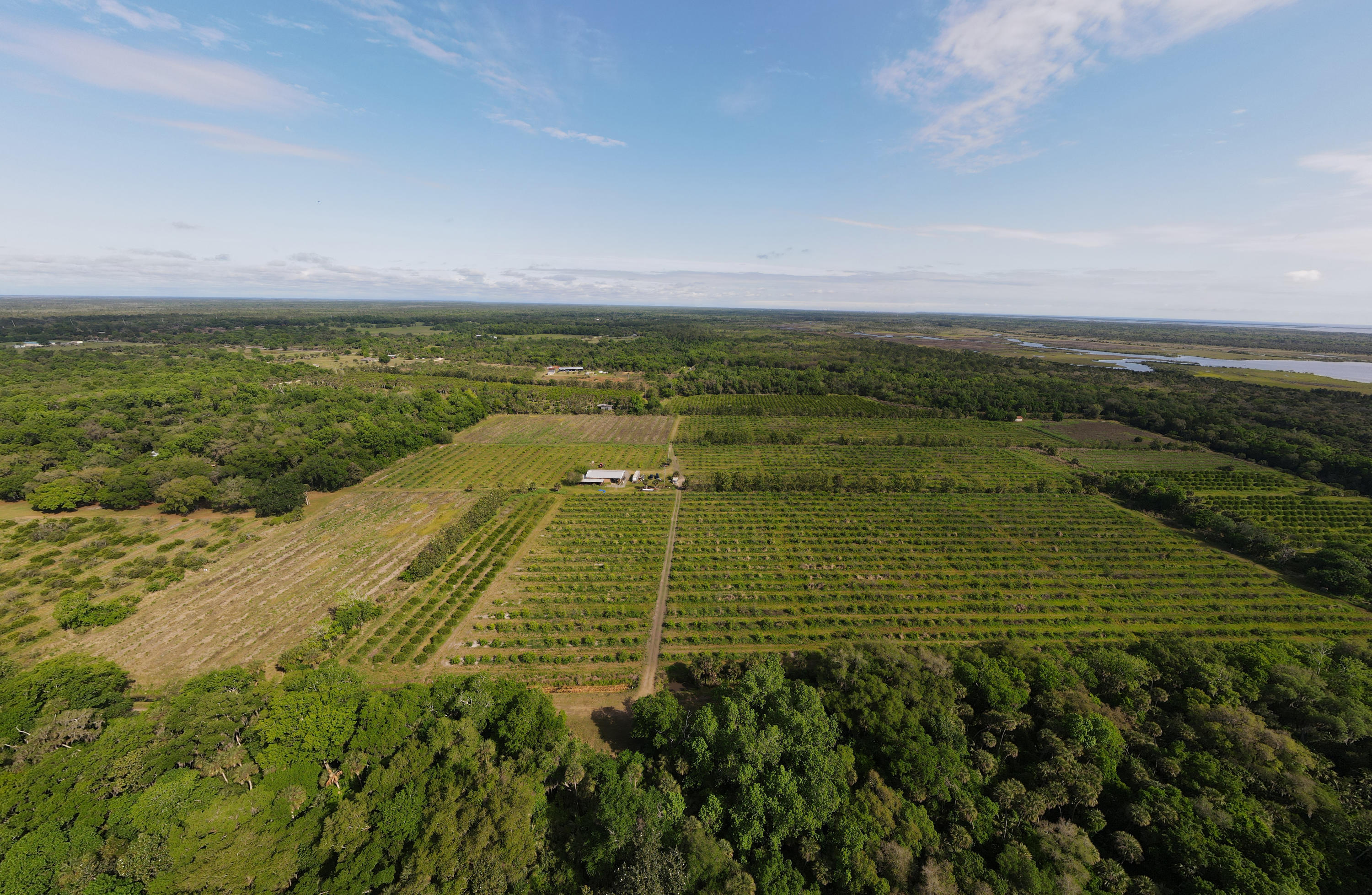 6401 Dixie Way Mims, FL 32754 - Photo 1 of 30 DJI_0861