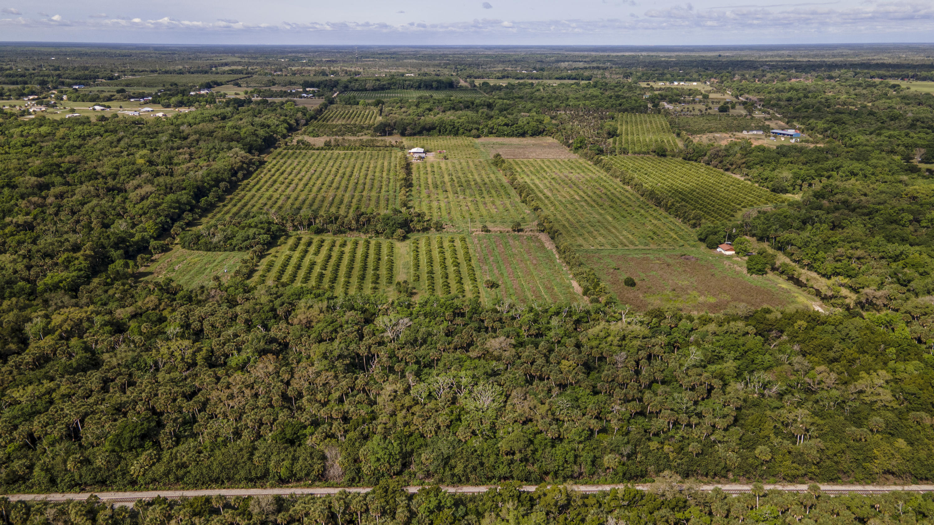 6401 Dixie Way Mims, FL 32754 - Photo 2 of 30 DJI_0859