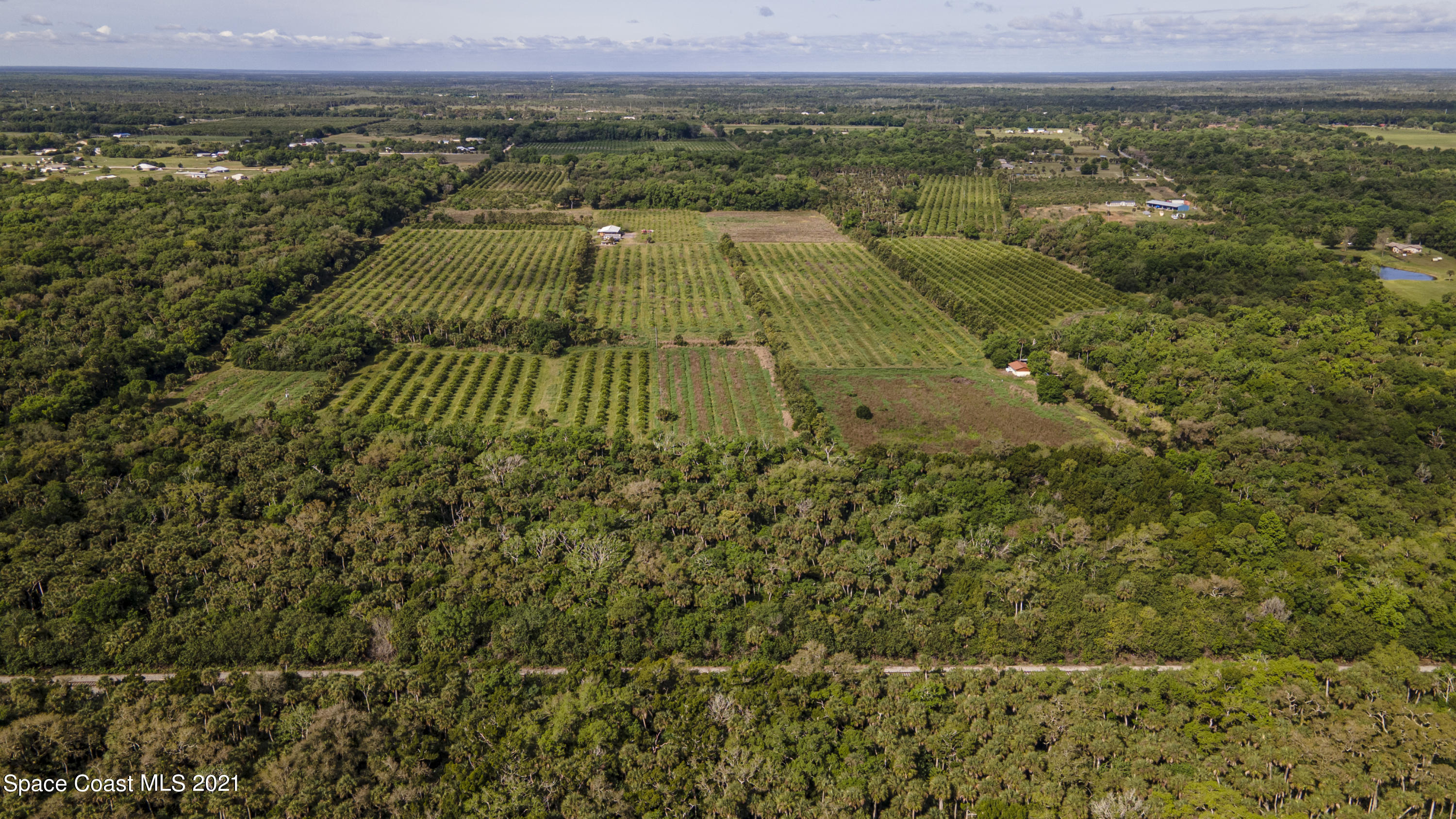 6401 Dixie Way Mims, FL 32754 - Photo 13 of 30 DJI_0858