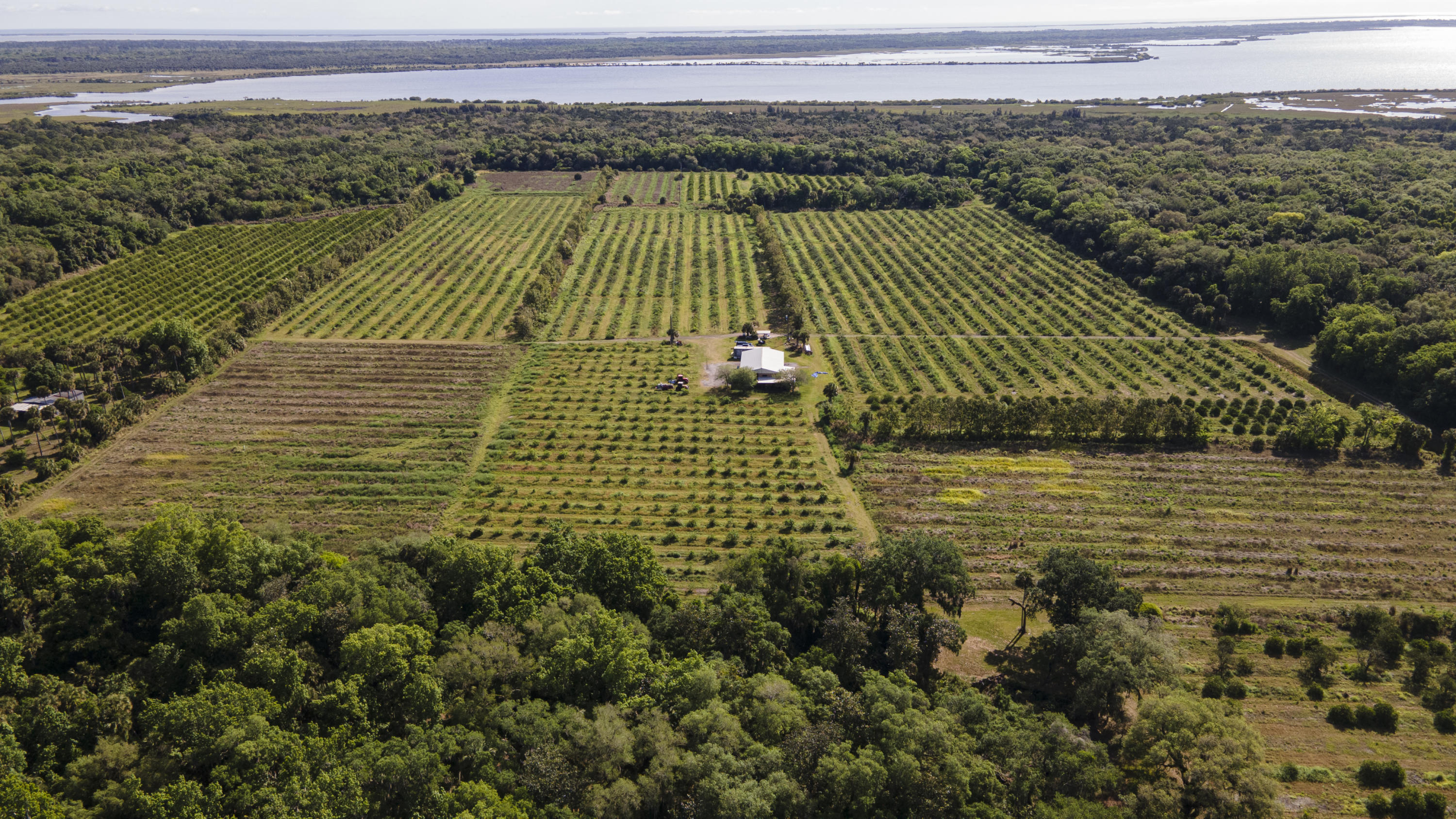 6401 Dixie Way Mims, FL 32754 - Photo 5 of 30 DJI_0852