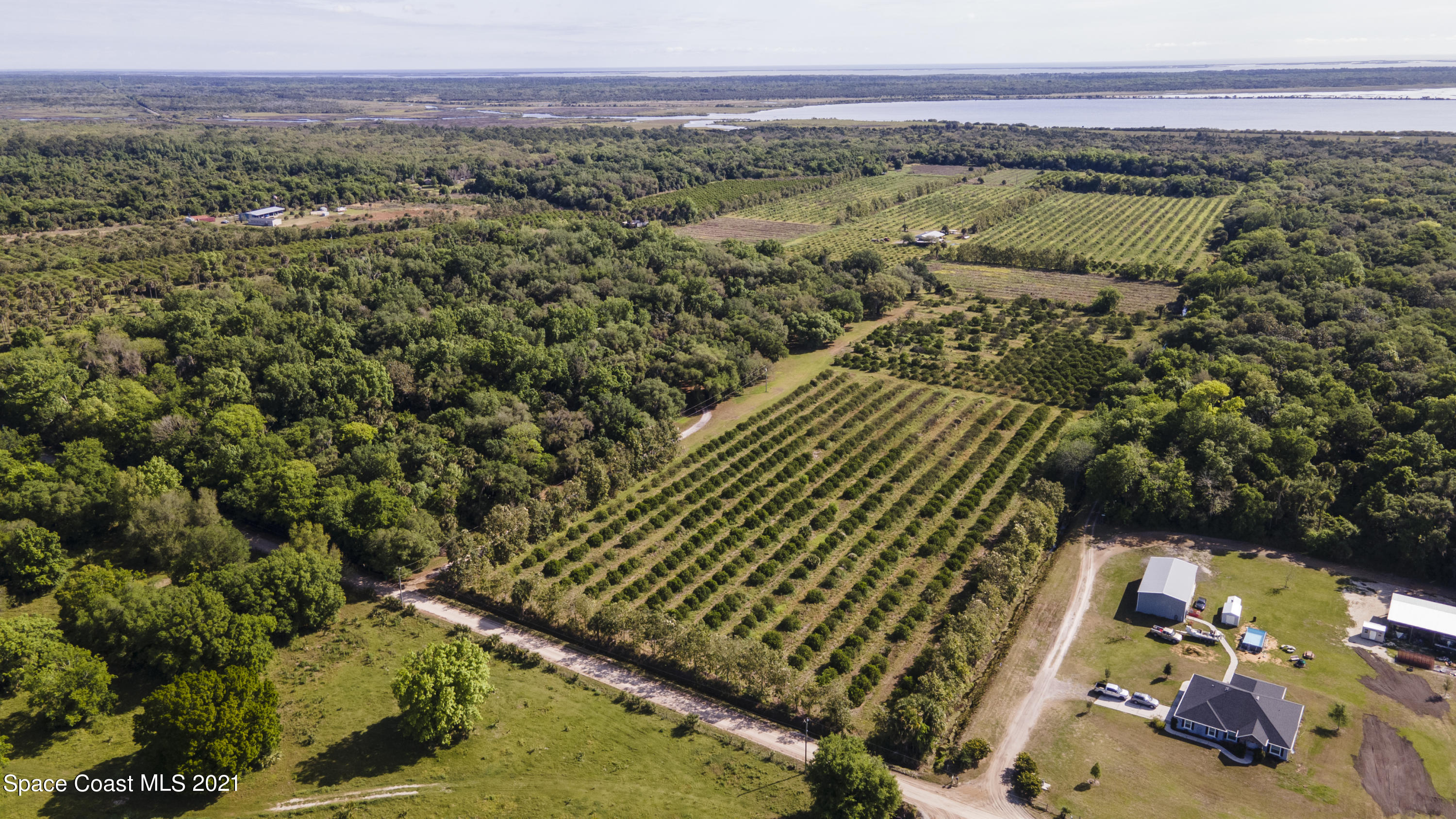 6401 Dixie Way Mims, FL 32754 - Photo 7 of 30 DJI_0849
