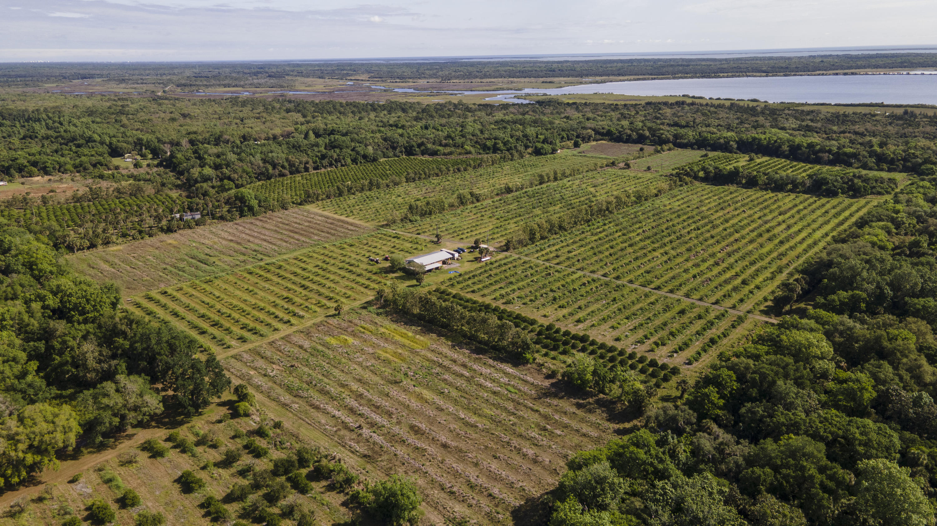 6401 Dixie Way Mims, FL 32754 - Photo 8 of 30 DJI_0851
