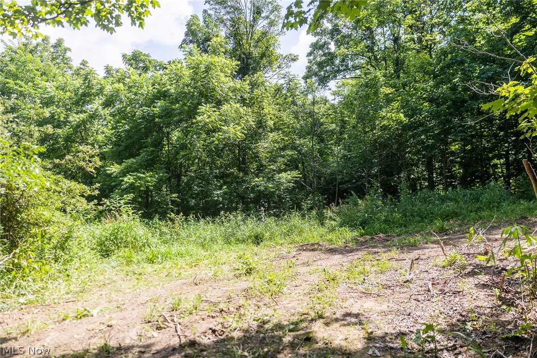 Richards Rd Road Cambridge, OH 43725 - Photo 26 of 46